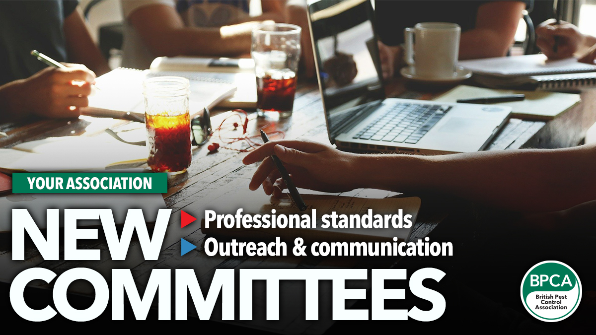 new Committees new Committees